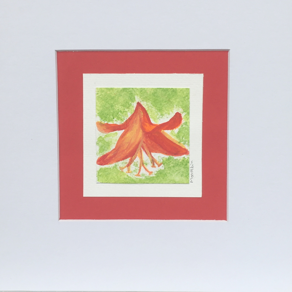 Mounted watercolour painting of crocosmia flower